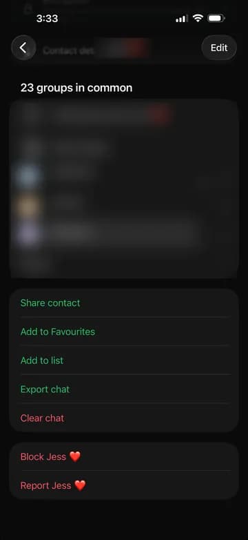 WhatsApp contact info screen showing the Export Chat option